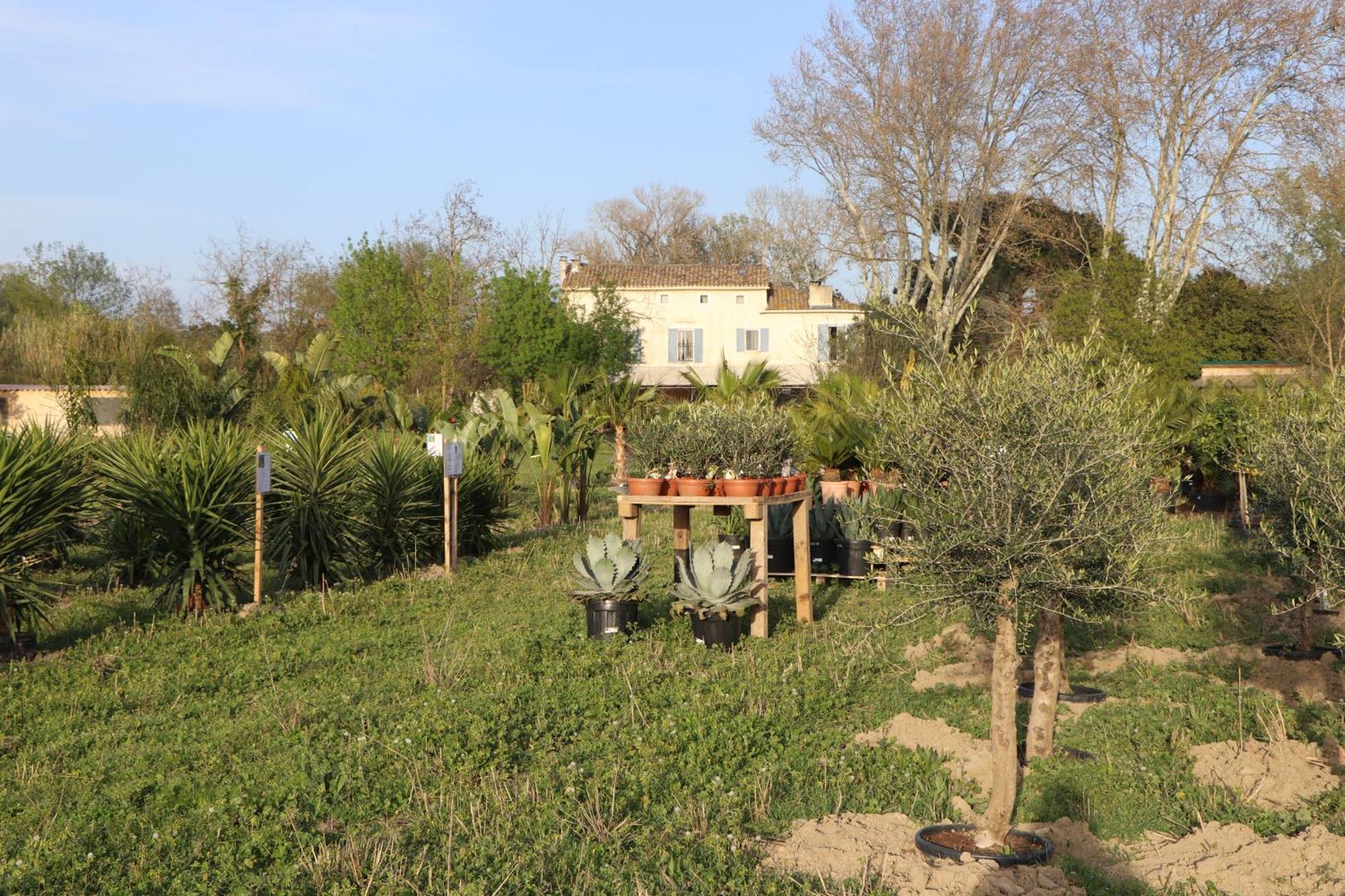 Bed and Breakfast Mas des Cerisiers Aviñón Exterior foto